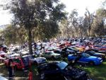 19th Annual Mustang Roundup at Silver Springs Theme Park 93