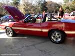 19th Annual Mustang Roundup at Silver Springs Theme Park 0