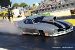 2014 NHRA Amalie Gatornationals31