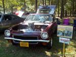 21st Annual Southeast VA Street Rods Car Show and Charity Picnic38