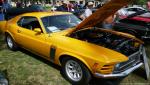 4th Annual Shelby/Ford Car Show8