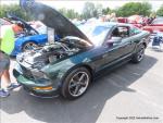 Adirondack Shelby - Mustang Club 7