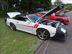 Adirondack Shelby - Mustang Club 0