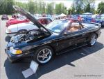 Adirondack Shelby - Mustang Club 46