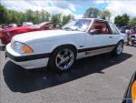 Adirondack Shelby - Mustang Club 48