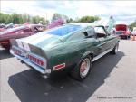 Adirondack Shelby - Mustang Club 81