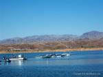 Arizona Drag Boat Association6