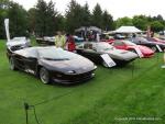 Concours d'Elegance of America21