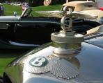 Concours d'Elegance of America16