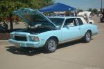 Farm King Car Show71