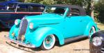 Frog Follies Car Show60