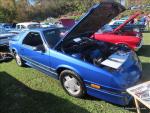 Hudson Valley Mustang Association's 41 Annual Car Show88