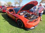 Hudson Valley Mustang Association's 41 Annual Car Show100