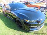 Hudson Valley Mustang Association's 41 Annual Car Show104