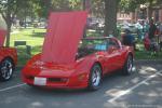 Macomb Heritage Days Car Show57