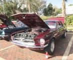 Mustang & Fords ROUND UP19