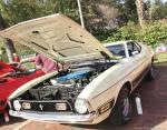 Mustang & Fords ROUND UP22