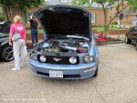 Mustang Round-Up67