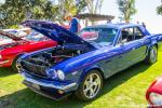 Mustangs By The Bay13