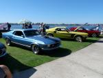 Mustangs by the Bay0