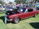 Mustangs by the Bay3