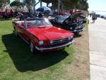 Mustangs by the Bay4
