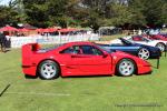 Hillsborough Concours D'Elegance0